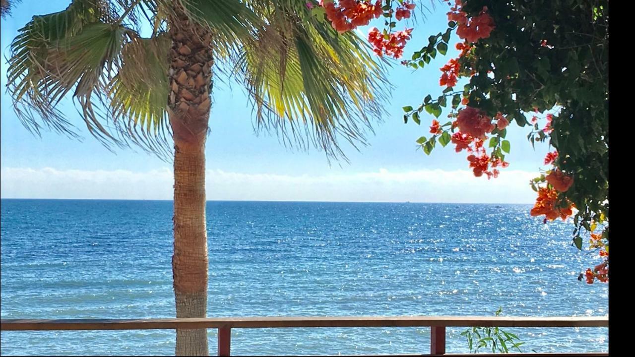 Mi Capricho 9A Beachfront- Apartment With Sea View - Costa Del Sol Sitio de Calahonda Exterior photo